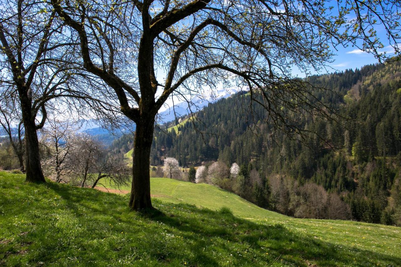 Blue In Green Apartment In Single Trail Park Jamnica Prevalje Esterno foto